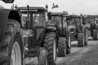 Fotogalería Concentración de Tractores Palagüinos 2025 4 Fotografía: Miguel Angel Fernández