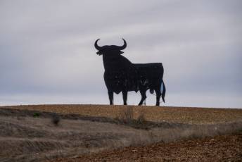 Fotogalería Concentración de Tractores Palagüinos 2025 26 Fotografía: Miguel Angel Fernández