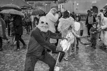 Fotogalería Carnaval y Fiesta de la Vaquilla en Arcones 104 Fotografía: Miguel Angel Fernández