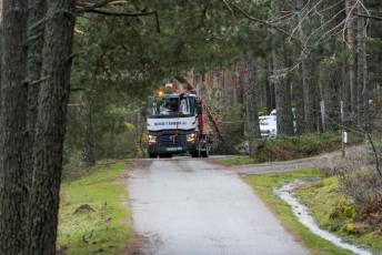 Fotogalería Colocación del Pino Gabarrero en El Espinar 24 Fotografía: Miguel Angel Fernández