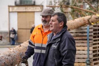 Fotogalería Colocación del Pino Gabarrero en El Espinar 9 Fotografía: Miguel Angel Fernández