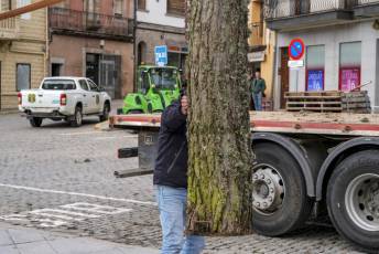 Fotogalería Colocación del Pino Gabarrero en El Espinar 12 Fotografía: Miguel Angel Fernández