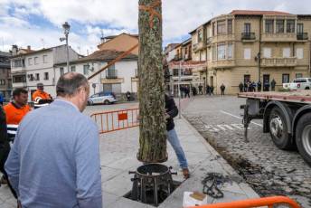 Fotogalería Colocación del Pino Gabarrero en El Espinar 39 Fotografía: Miguel Angel Fernández