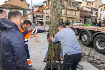 Fotogalería Colocación del Pino Gabarrero en El Espinar 47 Fotografía: Miguel Angel Fernández