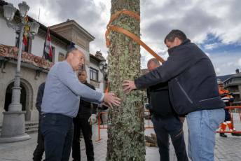 Fotogalería Colocación del Pino Gabarrero en El Espinar 40 Fotografía: Miguel Angel Fernández