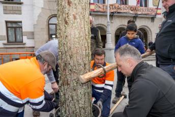 Fotogalería Colocación del Pino Gabarrero en El Espinar 30 Fotografía: Miguel Angel Fernández