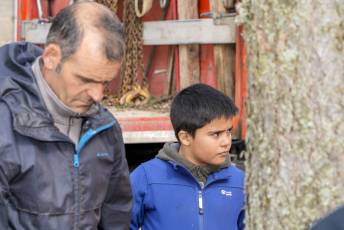 Fotogalería Colocación del Pino Gabarrero en El Espinar 3 Fotografía: Miguel Angel Fernández