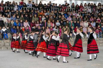 Fotogalería Colocación del Pino Gabarrero en El Espinar 15 Fotografía: Miguel Angel Fernández