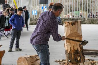 Fotogalería Colocación del Pino Gabarrero en El Espinar 16 Fotografía: Miguel Angel Fernández