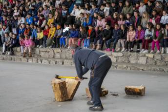 Fotogalería Colocación del Pino Gabarrero en El Espinar 26 Fotografía: Miguel Angel Fernández