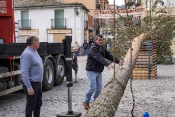 Fotogalería Colocación del Pino Gabarrero en El Espinar 4 Fotografía: Miguel Angel Fernández