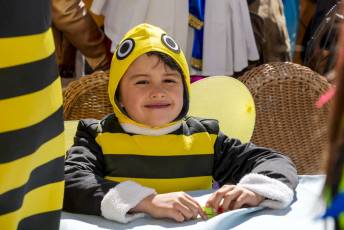 Fotogalería Domingo de Carnaval 77 Fotografía: Miguel Angel Fernández