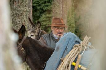 Fotogalería Exhibición Corte y Carga de Leña en San Rafael 77 Fotografía: Miguel Angel Fernández