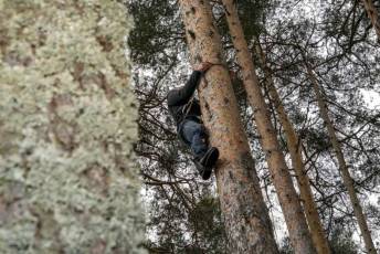 Fotogalería Exhibición Corte y Carga de Leña en San Rafael 74 Fotografía: Miguel Angel Fernández