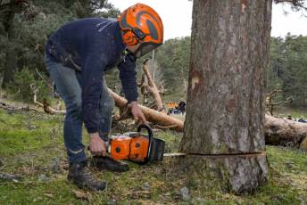 Fotogalería Exhibición Corte y Carga de Leña en San Rafael 90 Fotografía: Miguel Angel Fernández