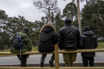 Fotogalería Exhibición Corte y Carga de Leña en San Rafael 103 Fotografía: Miguel Angel Fernández