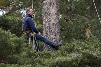 Fotogalería Exhibición Corte y Carga de Leña en San Rafael 65 Fotografía: Miguel Angel Fernández