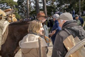 Fotogalería Exhibición Corte y Carga de Leña en San Rafael 25 Fotografía: Miguel Angel Fernández