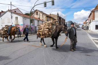 Fotogalería Exhibición Corte y Carga de Leña en San Rafael 51 Fotografía: Miguel Angel Fernández