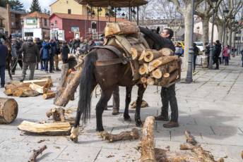 Fotogalería Exhibición Corte y Carga de Leña en San Rafael 55 Fotografía: Miguel Angel Fernández