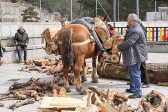 Fotogalería Exhibición Corte y Carga de Leña en San Rafael 42 Fotografía: Miguel Angel Fernández