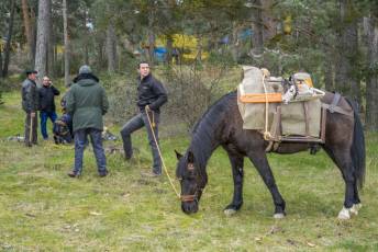 Fotogalería Exhibición Corte y Carga de Leña en San Rafael 89 Fotografía: Miguel Angel Fernández