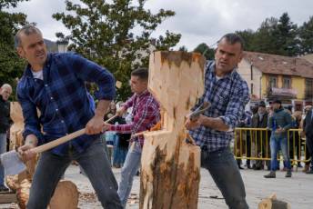 Fotogalería Exhibición Corte y Carga de Leña en San Rafael 64 Fotografía: Miguel Angel Fernández