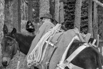 Fotogalería Exhibición Corte y Carga de Leña en San Rafael 38 Fotografía: Miguel Angel Fernández
