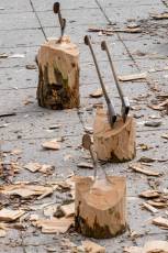 Fotogalería Exhibición Corte y Carga de Leña en San Rafael 78 Fotografía: Miguel Angel Fernández