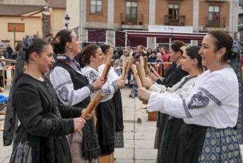Fotogalería Exhibición Corte y Carga de Leña en San Rafael 18 Fotografía: Miguel Angel Fernández