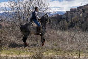 Fotogalería Feria del Caballo en La Lastrilla 89 Fotografía: Miguel Angel Fernández