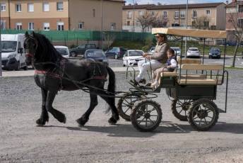 Fotogalería Feria del Caballo en La Lastrilla 4 Fotografía: Miguel Angel Fernández