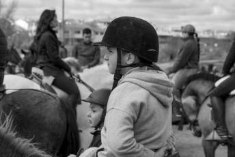 Fotogalería Feria del Caballo en La Lastrilla 38 Fotografía: Miguel Angel Fernández