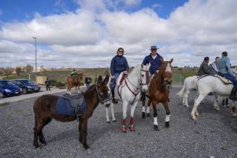 Fotogalería Feria del Caballo en La Lastrilla 92 Fotografía: Miguel Angel Fernández