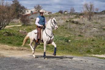 Fotogalería Feria del Caballo en La Lastrilla 17 Fotografía: Miguel Angel Fernández
