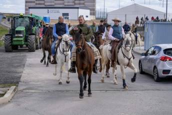 Fotogalería Feria del Caballo en La Lastrilla 35 Fotografía: Miguel Angel Fernández