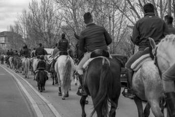Fotogalería Feria del Caballo en La Lastrilla 102 Fotografía: Miguel Angel Fernández
