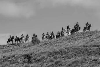 Fotogalería Feria del Caballo en La Lastrilla 24 Fotografía: Miguel Angel Fernández