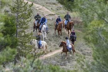 Fotogalería Feria del Caballo en La Lastrilla 29 Fotografía: Miguel Angel Fernández