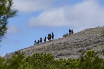Fotogalería Feria del Caballo en La Lastrilla 14 Fotografía: Miguel Angel Fernández