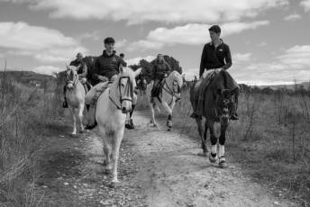 Fotogalería Feria del Caballo en La Lastrilla 32 Fotografía: Miguel Angel Fernández