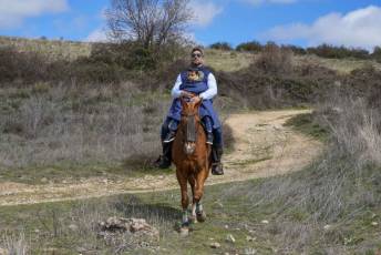 Fotogalería Feria del Caballo en La Lastrilla 64 Fotografía: Miguel Angel Fernández