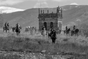 Fotogalería Feria del Caballo en La Lastrilla 85 Fotografía: Miguel Angel Fernández