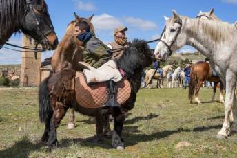 Fotogalería Feria del Caballo en La Lastrilla 100 Fotografía: Miguel Angel Fernández