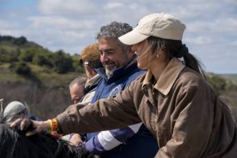 Fotogalería Feria del Caballo en La Lastrilla 98 Fotografía: Miguel Angel Fernández