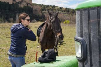 Fotogalería Feria del Caballo en La Lastrilla 26 Fotografía: Miguel Angel Fernández