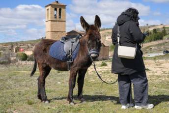 Fotogalería Feria del Caballo en La Lastrilla 78 Fotografía: Miguel Angel Fernández