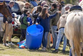 Fotogalería Feria del Caballo en La Lastrilla 72 Fotografía: Miguel Angel Fernández