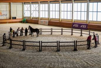 Fotogalería Escuela de Capacitación. Actividades Ecuestres 2025 15 Escuela de Captación Actividades Ecuestres 2025 - Héctor Criado