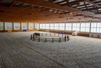 Fotogalería Escuela de Capacitación. Actividades Ecuestres 2025 16 Escuela de Captación Actividades Ecuestres 2025 - Héctor Criado